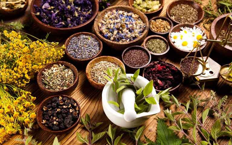 Nam dược và sự bảo vệ tuyến sinh sản