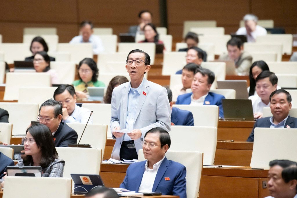 Đại biểu Trần Hoàng Ngân – Đoàn ĐBQH Tp Hồ Chí Minh đóng góp ý kiến tại phiên họp (Ảnh: Cổng TTĐT Quốc hội)