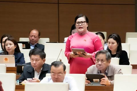 Đại biểu Nguyễn Thị Sửu phát biểu về