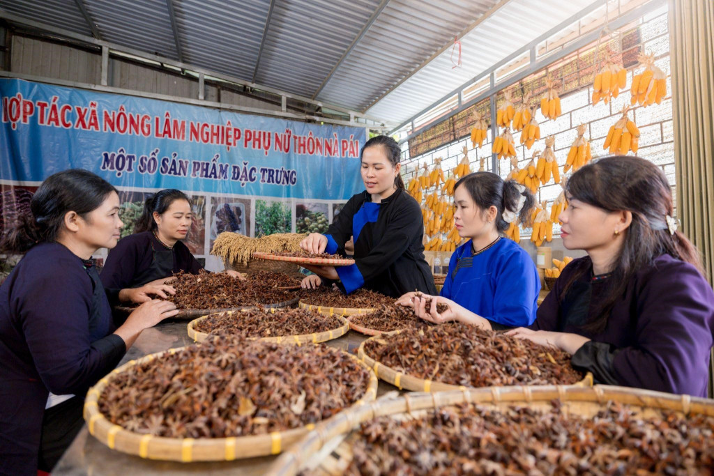 Chị Hoàng Thị Bích Ngọc (giữa) cùng các chị em phụ nữ thôn Nà Pái phát triển mô hình sản xuất nông sản địa phương (Ảnh: BTC)