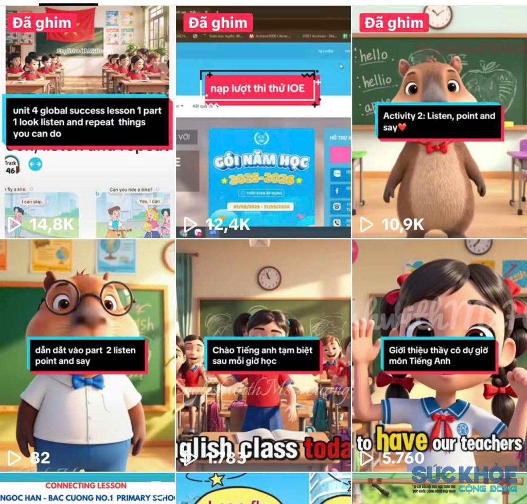 Xây dựng hệ thống bài giảng trên nền tảng Zalo, TikTok, Fanpage và instagram ( ảnh: PV)