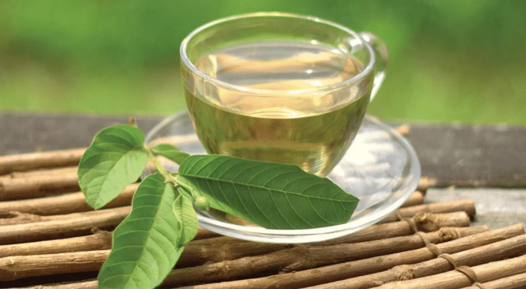 Trà lá ổi là lựa chọn phù hợp cho những người muốn tìm một loại thức uống thảo mộc tự nhiên (Ảnh minh họa)