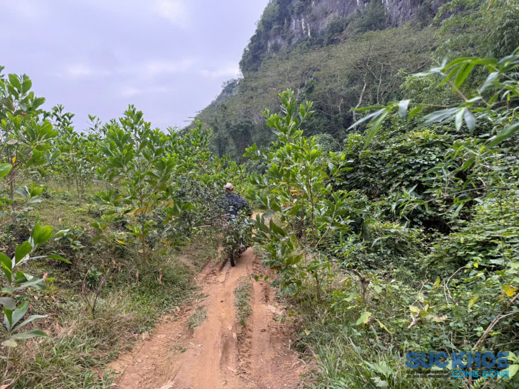 Con đường dẫn lên điểm khai thác gần như không có lối mòn rõ ràng, chỉ là những vết chân in vội trên đá sắc, trơn trượt (Ảnh PV)