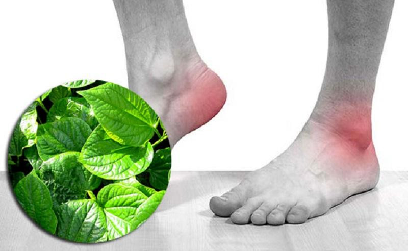 Ngâm chân bằng lá lốt giúp giải quyết nhiều vấn đề xương khớp (Ảnh minh họa)