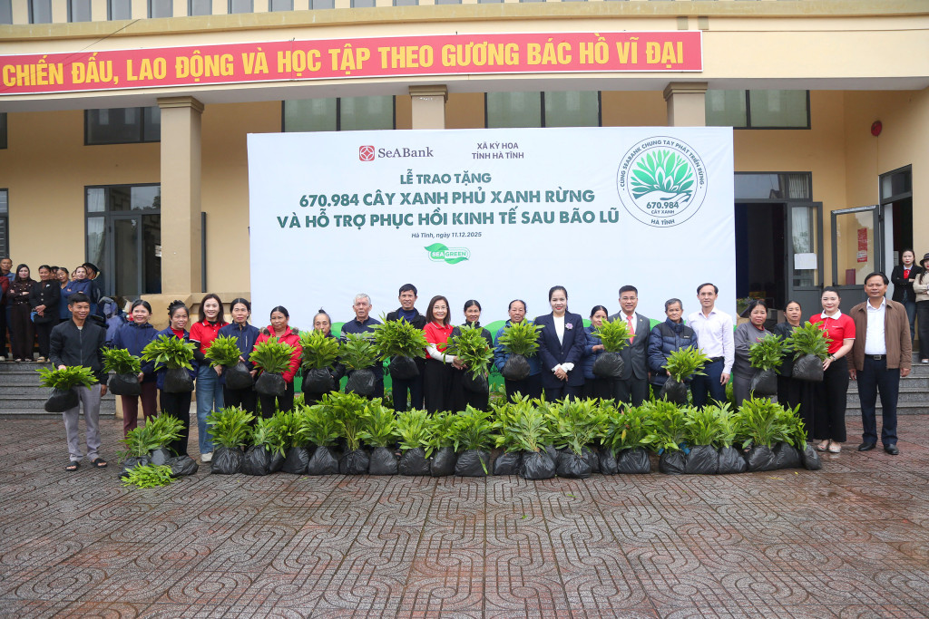 seabank-trong-rung-ha-tinh-3