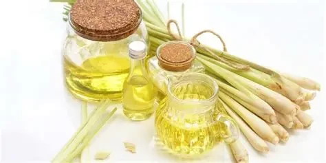 Tinh dầu sả là một trong những loại tinh dầu đuổi muỗi hiệu quả