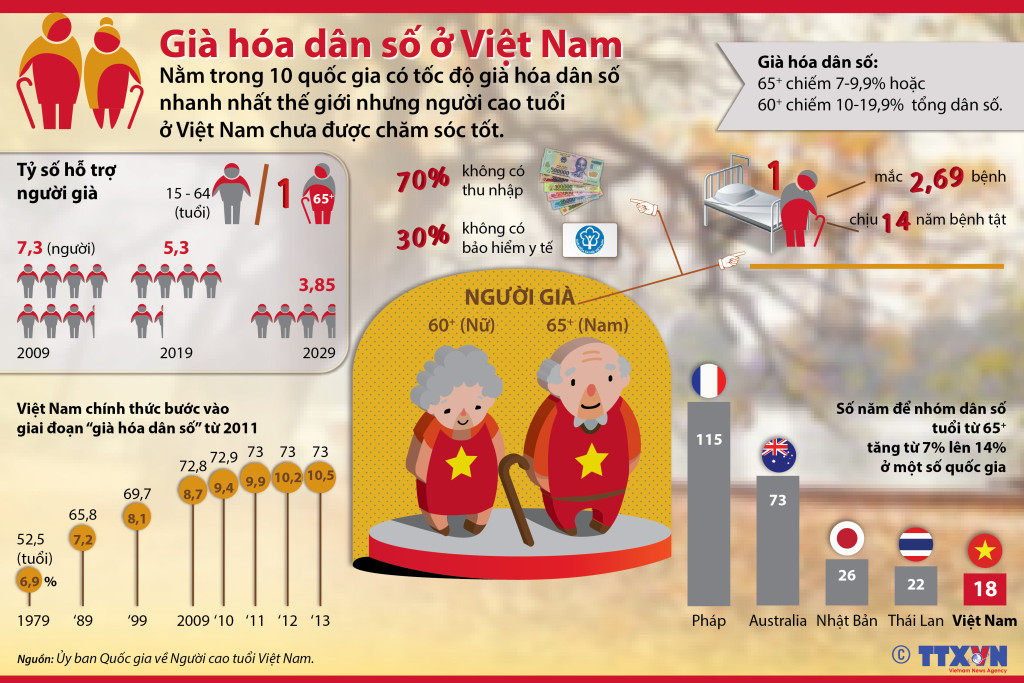 Biểu đồ mô tả tình trạng già hoá dân số ở Việt Nam (Ảnh: TTXVN)