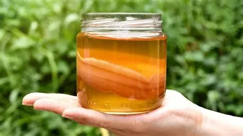 Kombucha là loại trà lên men có vị chua ngọt đặc trưng, được nhiều người lựa chọn nhờ chứa lợi khuẩn tốt cho hệ tiêu hóa. (Ảnh: Sưu tầm)