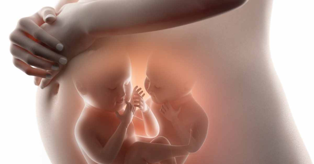 Nhiều mẹ bầu bị nghén nặng khi mang thai đôi (Ảnh minh họa)