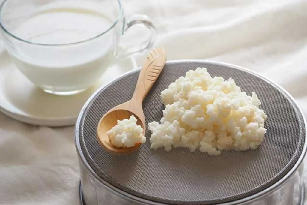 Kefir giúp cải thiện sức khỏe đường ruột (Ảnh minh họa)