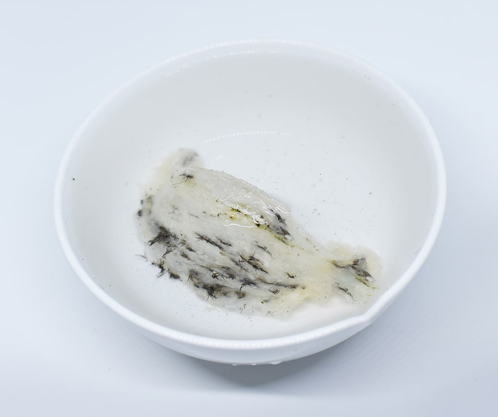 Ngâm yến với nước sạch từ 1-2 tiếng (Ảnh: Sưu tầm)