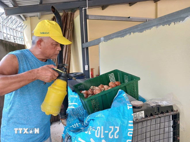 Ông Nguyễn Văn Xuân, phường Tây Nha Trang, tỉnh Khánh Hòa, vẫn miệt mài sáng tạo các sản phẩm tái chế từ rác ở tuổi 65 (Ảnh: Phan Sáu/TTXVN)