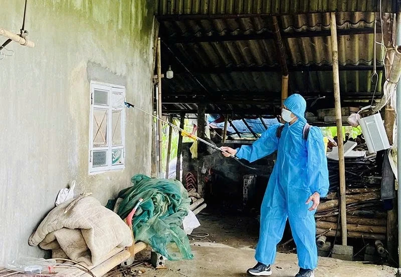 Phun hóa chất khử khuẩn vệ sinh môi trường, phòng chống sốt xuất huyết tại xã Luận Thành 