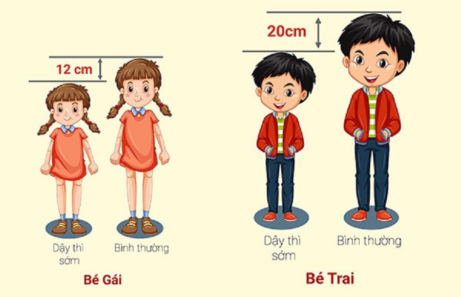 Trẻ dậy thì sớm thường cao vượt trội so với bạn bè cùng lứa trong thời gian ngắn, nhưng sau đó sớm ngừng phát triển chiều cao (Ảnh: Sưu tầm)