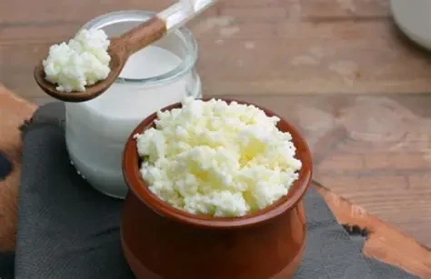 Thực phẩm lên men tự nhiên như kim chi, sữa chua hay kefir giúp cân bằng hệ vi sinh đường ruột, hỗ trợ tiêu hóa sau những ngày ăn uống nhiều dầu mỡ dịp Tết. (Ảnh: Sưu tầm)