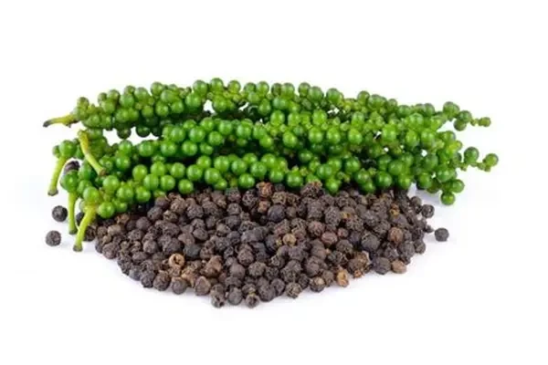 Tiêu đen và tiêu xanh đều là gia vị quen thuộc, mỗi loại mang hương vị và giá trị dinh dưỡng riêng. (Ảnh: Sưu tầm)