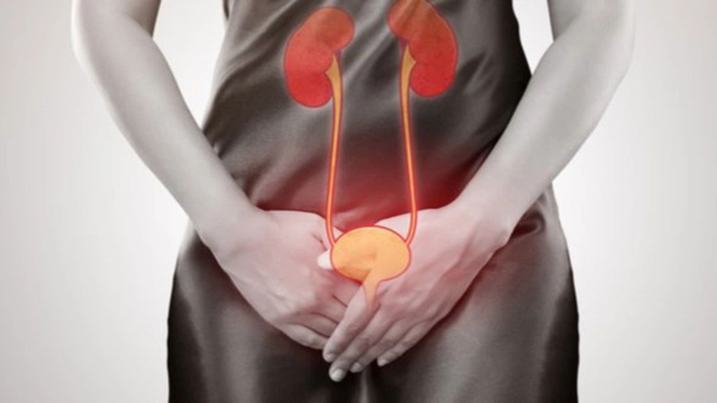 Niệu đạo của phụ nữ ngắn và nằm gần hậu môn (Ảnh: Sưu tầm)