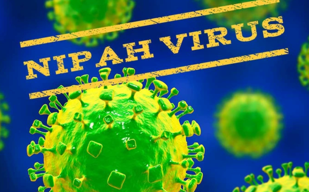 Hiện nay, Nipah chưa có vaccine phòng bệnh, chưa có thuốc điều trị đặc hiệu cho cả người và động vật (Ảnh minh họa)