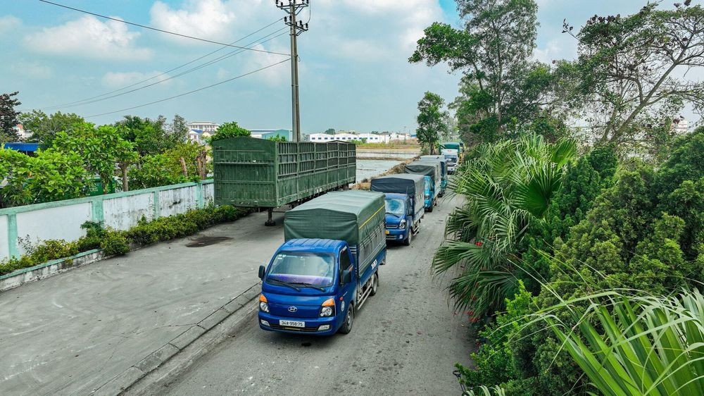 Đoàn xe dùng để chở số giá đỗ ngâm hóa chất đi tiêu hủy