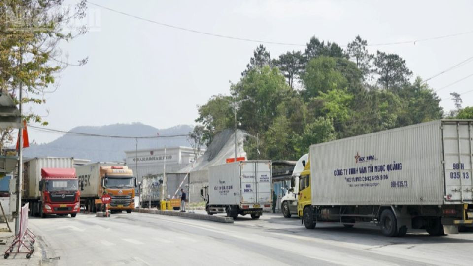  Nghị định 46/2026/NĐ-CP và Nghị quyết 66.13/NĐ-CP vừa ban hành đang phát sinh vướng mắc về điều khoản chuyển tiếp, khiến hàng nghìn phương tiện chở hàng thực phẩm, nông sản tươi sống bị “mắc kẹt” tại các cửa khẩu trên cả nước.