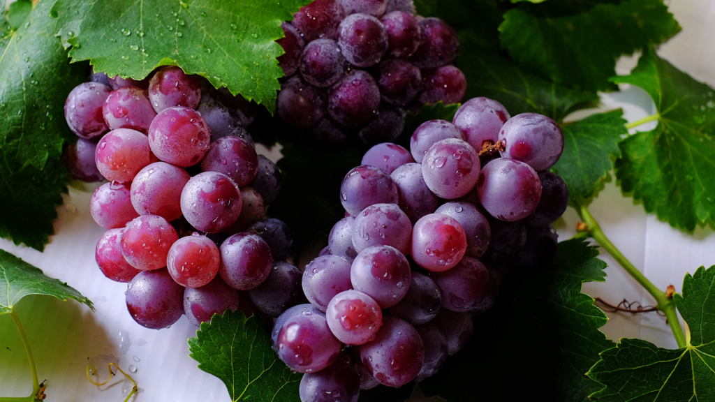 Nếu ăn đúng cách, nho hỗ trợ tăng sức đề kháng cho mẹ bầu (Ảnh: Sưu tầm)