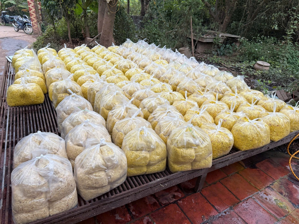 Riềng xay thành phẩm được trộn chất tẩy đường và chất Vàng O bị thu giữ (Ảnh: BCA)