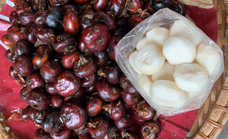 Củ mã thầy