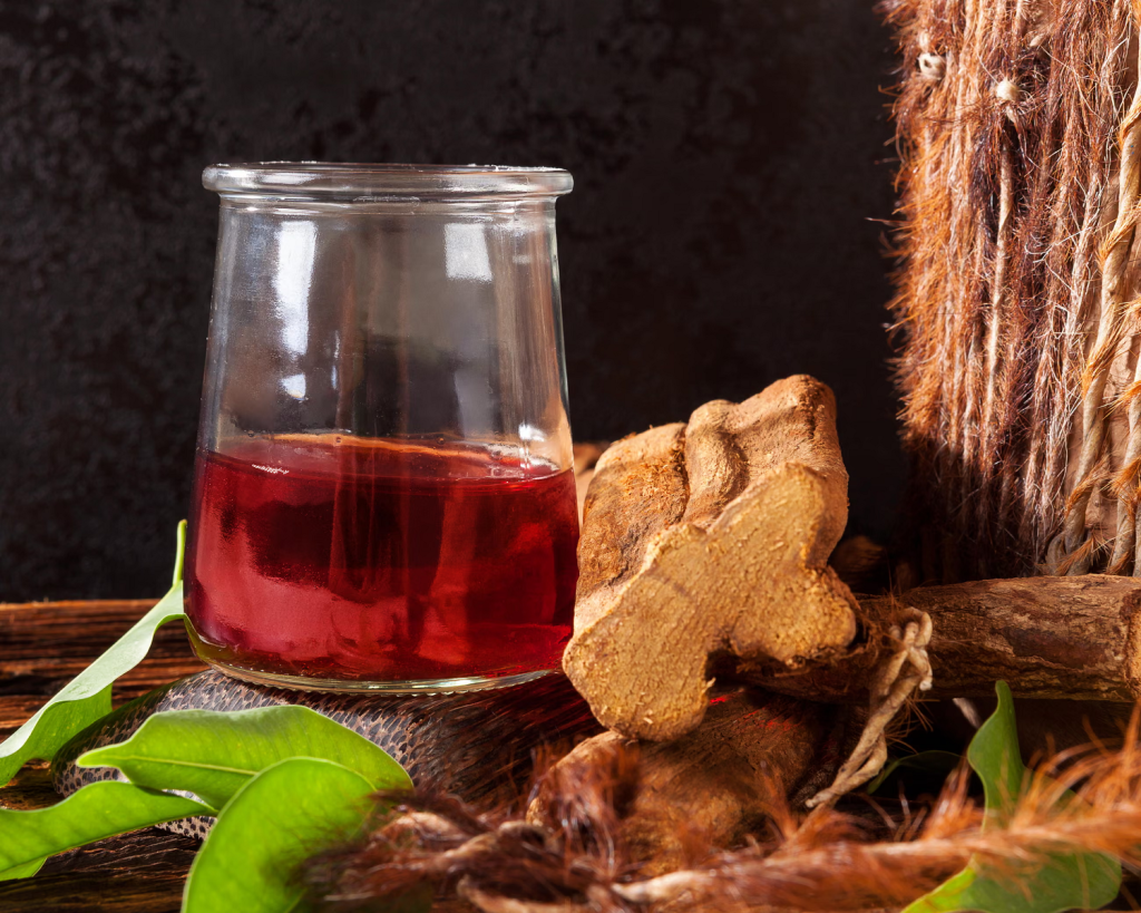 Dimethyltryptamine (DMT) là một hoạt chất chính trong thức uống ayahuasca được sử dụng trong các nghi lễ pháp sư ở Nam Mỹ (Ảnh: Michal Moravcik/Alamy)