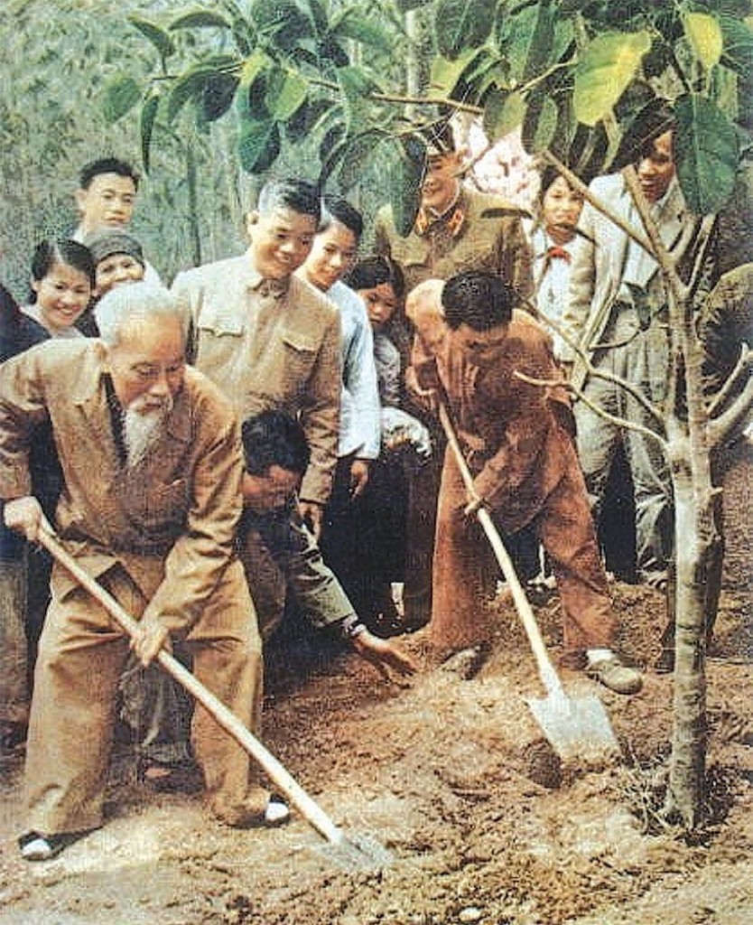 Bác Hồ trồng cây đa tại xã Vật Lại, Ba Vì, Hà Tây (nay là Hà Nội) ngày 16/2/1969. Ảnh: Tư liệu