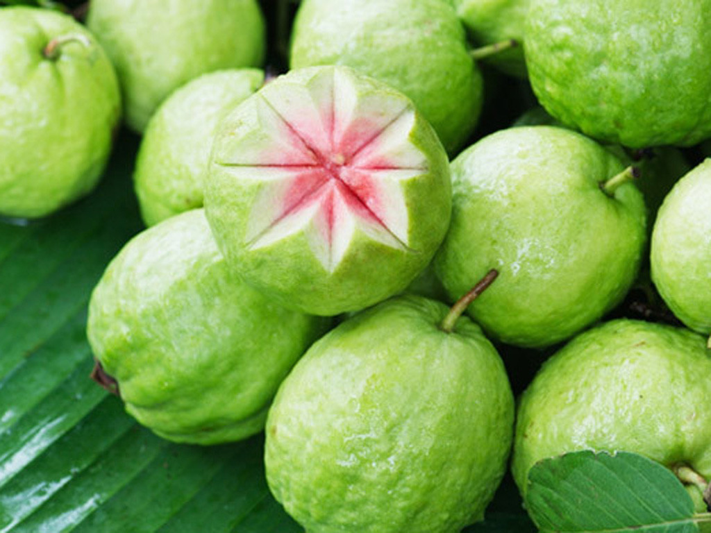 Ăn quá nhiều ổi trong thời gian ngắn và không uống đủ nước có thể gây táo bón (Ảnh: Sưu tầm)