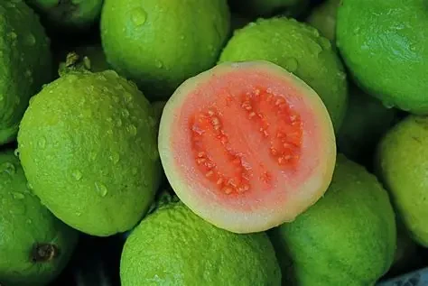Ổi là một trong những loại quả giàu vitamin C hàng đầu, giúp tăng cường miễn dịch và chống oxy hóa. (Ảnh: Sưu tầm)