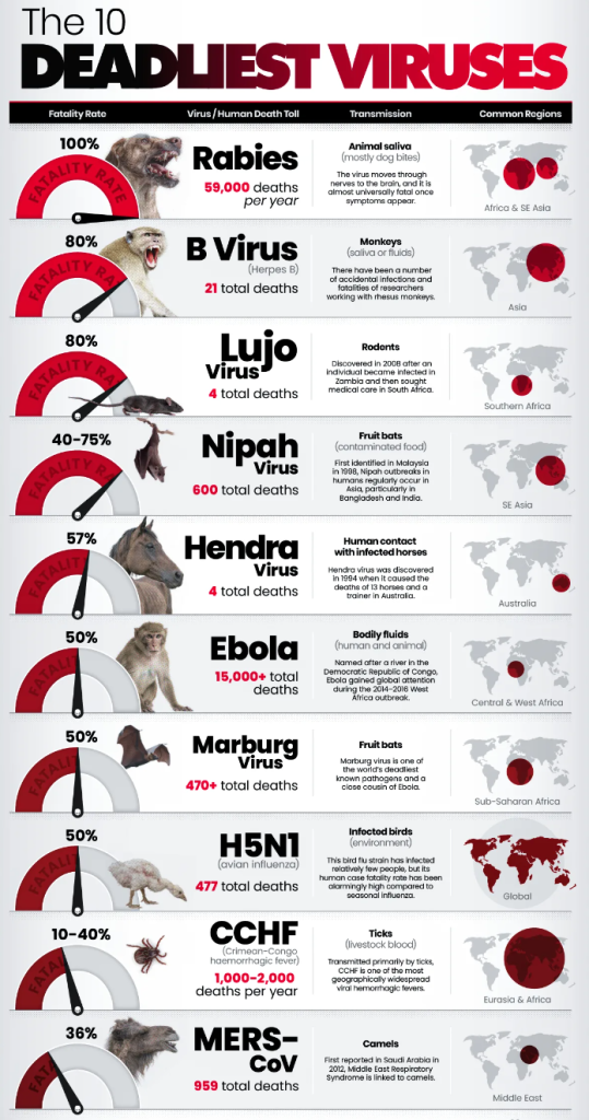 Xếp hạng 10 loại virus nguy hiểm nhất thế giới theo tỷ lệ tử vong (Đồ hoạ: Visual Capitalist)