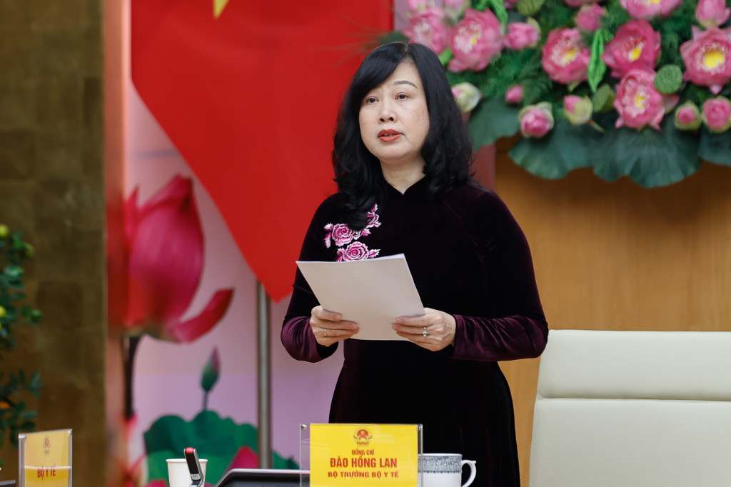 Bộ trưởng Bộ Y tế Đào Hồng Lan phát biểu tại cuộc gặp mặt (Ảnh: VGP/Nhật Bắc)