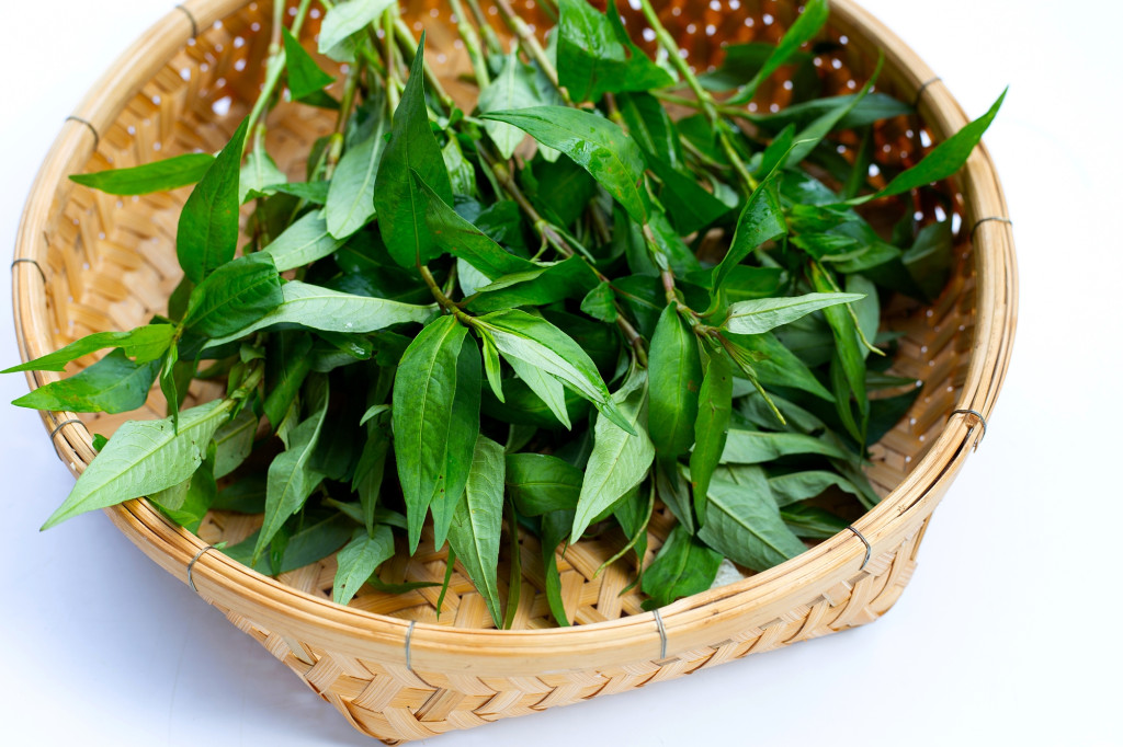 Rau răm là loại gia vị quen thuộc trong nhiều món ăn Việt, chưa có bằng chứng khoa học cho thấy gây yếu sinh lý nam. (Ảnh: Sưu tầm)