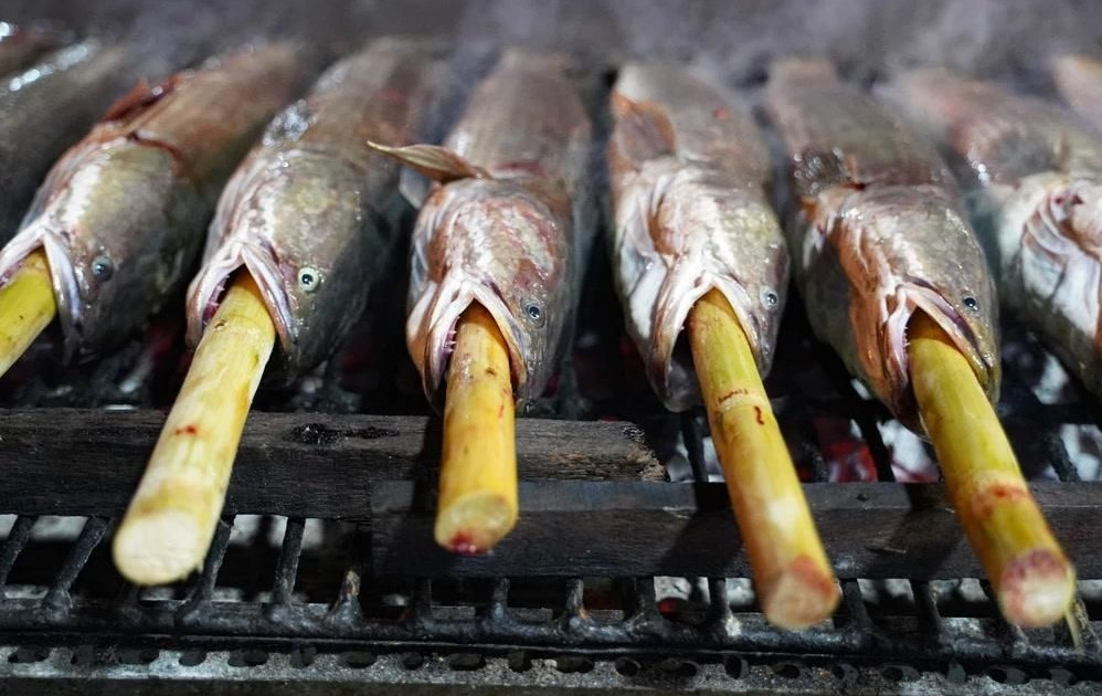 Cá lóc được chọn thường có trọng lượng từ 1-1,3kg/con. Sau khi làm sạch, người nướng đâm xuyên cá 1 đoạn mía đã tước vỏ dài khoảng 60cm để định hình và tăng độ ngon sau khi nướng.