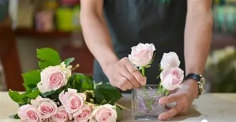 Chỉ cần chăm sóc đúng cách, hoa hồng 8/3 có thể tươi lâu hơn, giữ trọn vẻ rạng rỡ dành tặng nàng. (Ảnh: Sưu tầm)