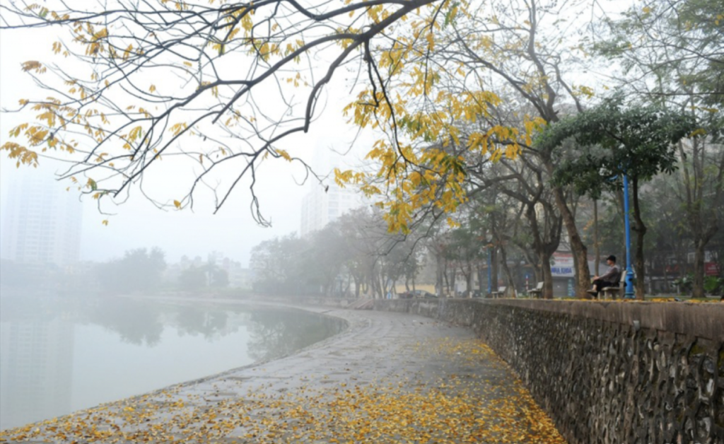 Ảnh minh hoạ