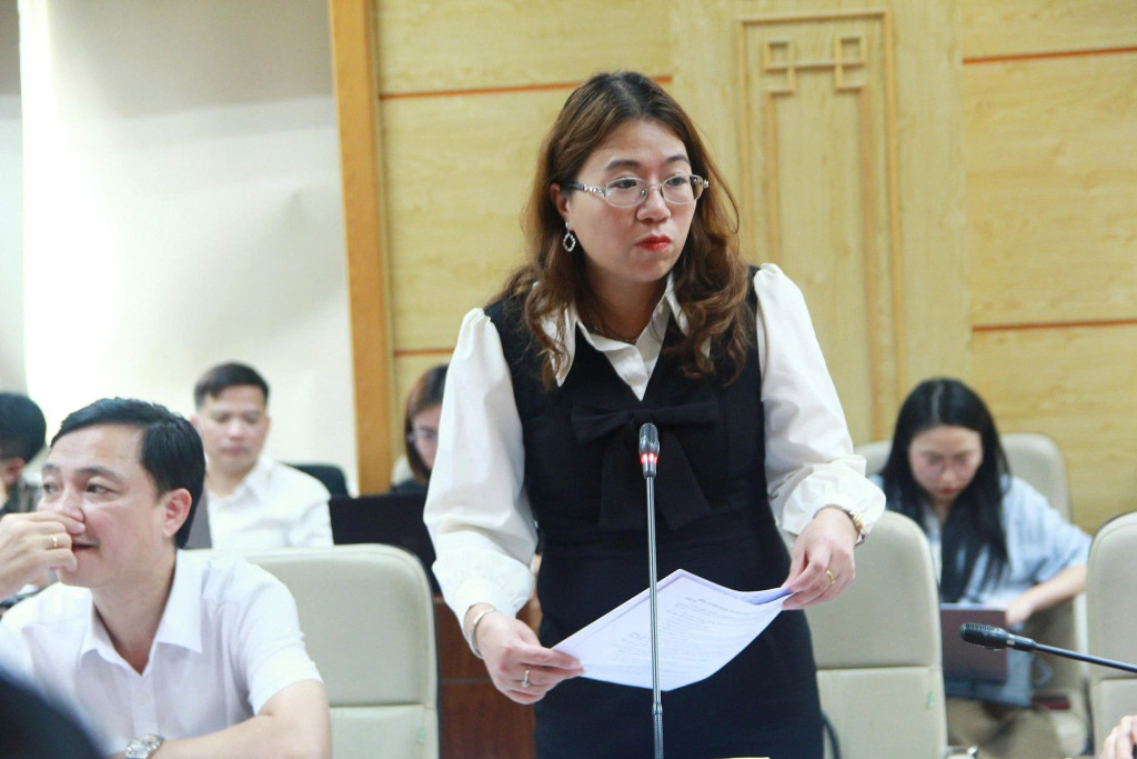 Bà Nguyễn Thị Thu, Phó trưởng phòng Quy mô Dân số và kế hoạch hóa gia đình, Cục Dân số diễn giải một só quy định về chính sách dân số trong Dự thảo (Ảnh: VGP/HM)