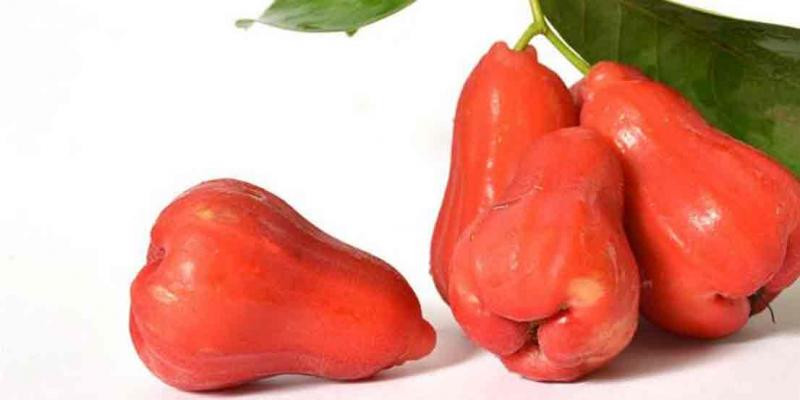 Quả roi có hàm lượng calo thấp, phù hợp với người đang ăn kiêng. (Ảnh: Sưu tầm)