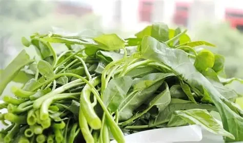 Rau muống tốt cho sức khỏe nhưng không phải ai cũng nên ăn, đặc biệt với người mắc bệnh gout hay sỏi thận. (Ảnh: Sưu tầm)