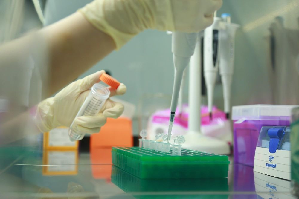 Xét nghiệm ADN là phương pháp phân tích vật chất di truyền trong tế bào để xác định quan hệ huyết thống giữa các cá thể (Ảnh: HY)