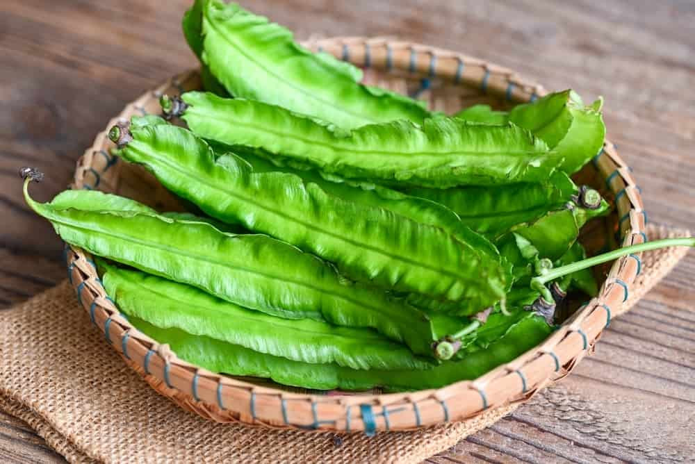 Đậu rồng là loại thực phẩm giàu chất xơ, vitamin và khoáng chất có lợi cho sức khỏe (Ảnh: Sưu tầm)