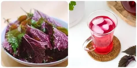 Uống nước lá tía tô có thể giúp da sáng khỏe hơn nhưng không làm thay đổi tông da tự nhiên (Ảnh: Sưu tầm)