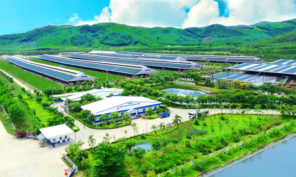 Hệ thống trang trại và nhà máy công nghệ cao giúp Vinamilk kiểm soát chất lượng trên quy mô lớn - Ảnh: VN