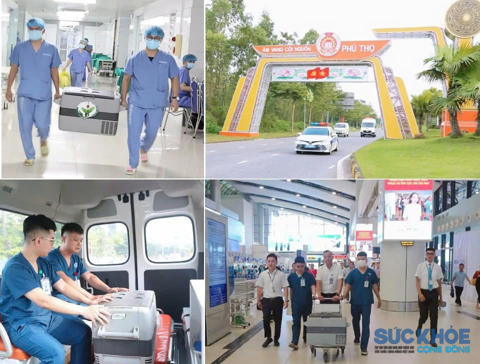 Hành trình hiến tạng được đội ngũ Y bác sĩ Bệnh viên đa khoa tỉnh Phú Thọ triển khái rất chuyên nghiệp và hiệu quả(ảnh: ĐT)