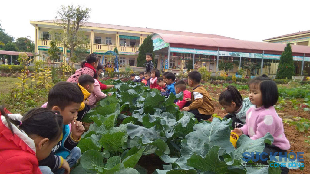 Học sinh trường mầm non Văn Luông chăm sóc rau xanh (ảnh: ĐT)