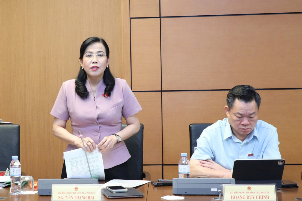 Chủ nhiệm Ủy ban Khoa học, Công nghệ và Môi trường Nguyễn Thanh Hải, ĐBQH tỉnh Thái Nguyên phát biểu tại tổ 6