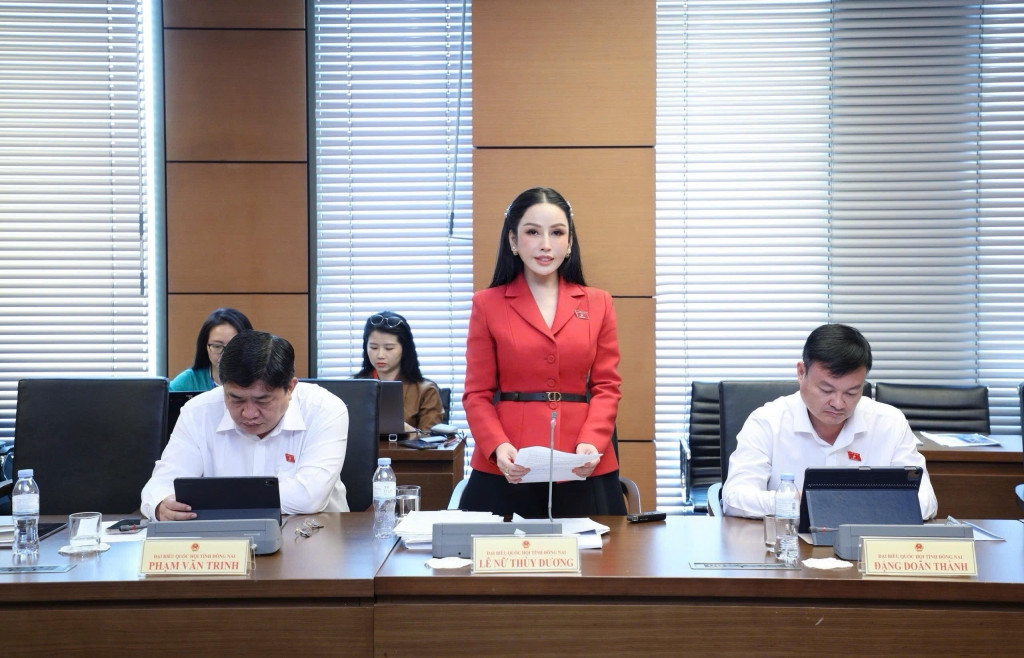 ĐBQH Lê Nữ Thùy Dương (Đồng Nai) phát biểu