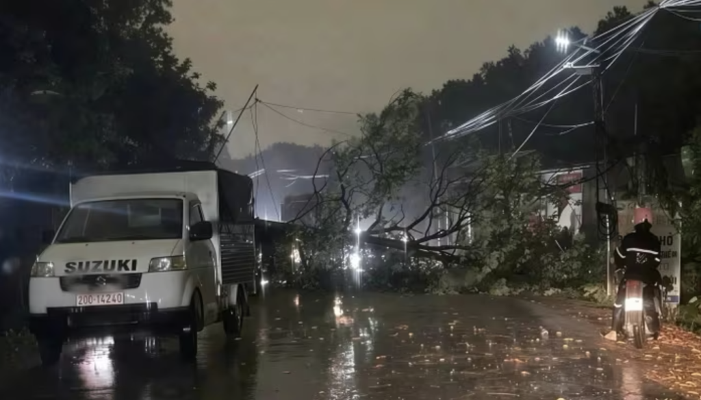 Hiện trường vụ cây đổ khiến một người tử vong ở Thái Nguyên (Ảnh: TL)