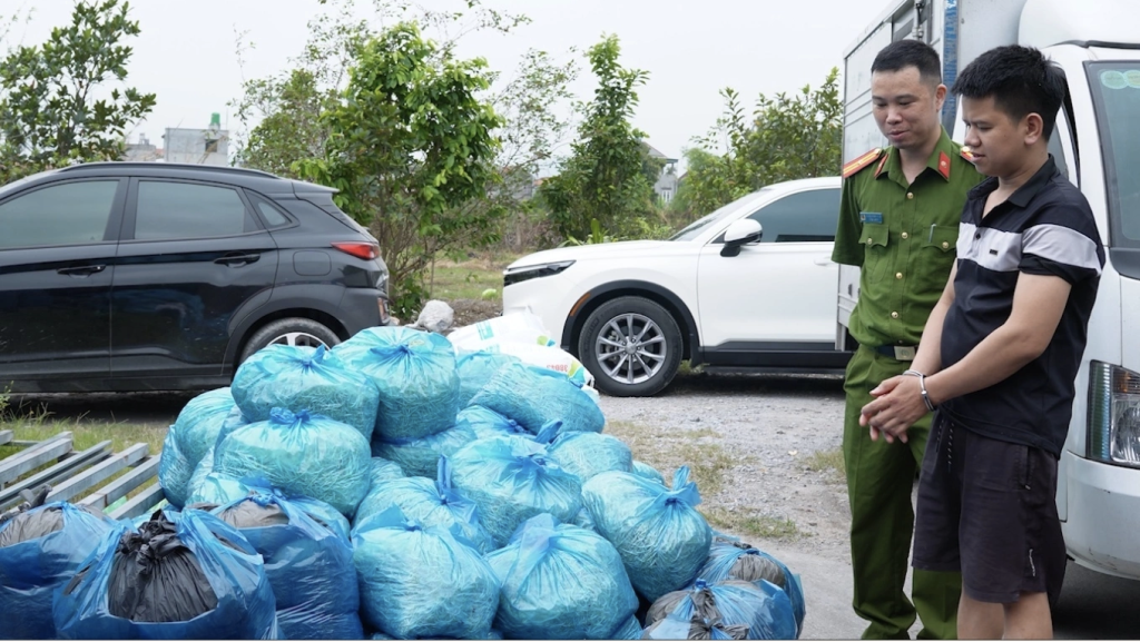 Gần 4 tấn giá đỗ thành phẩm thu giữ tại xưởng sản xuất giá đỗ tại Mạo Khê (Ảnh: Công an cung cấp)